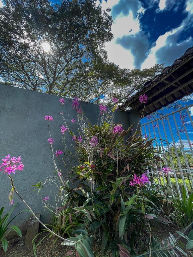 La Garita  Zeus Guesthouse -Free Sjo Airport Shuttle מראה חיצוני תמונה